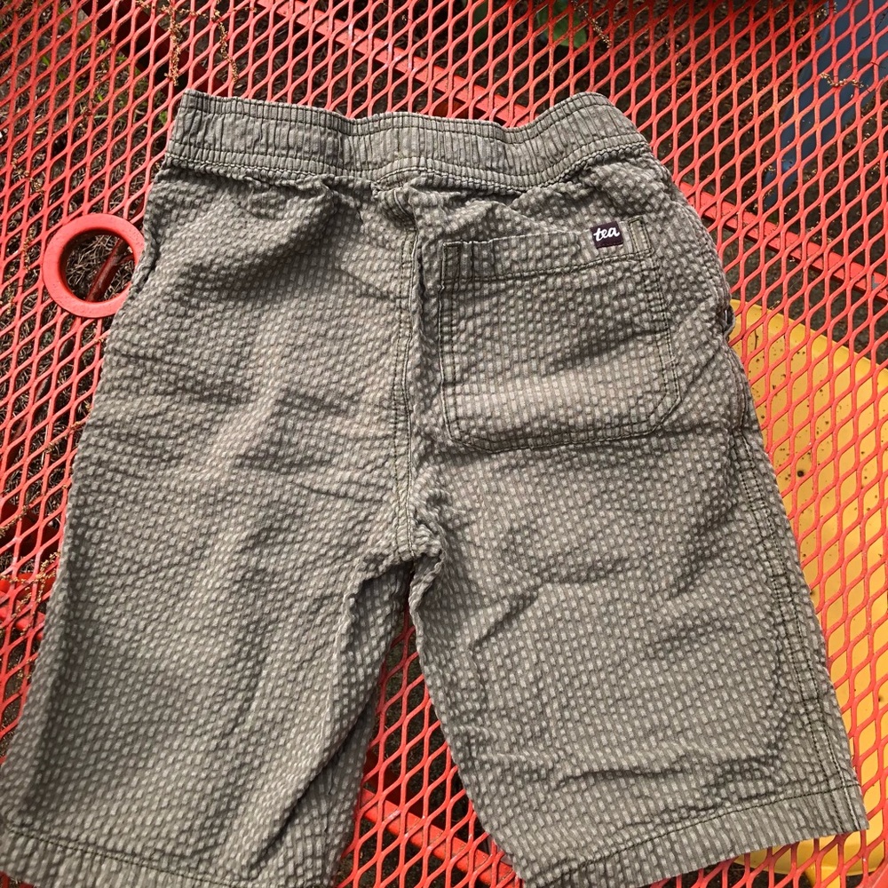Tea Collection Seersucker Discover Shirts Sz 10
